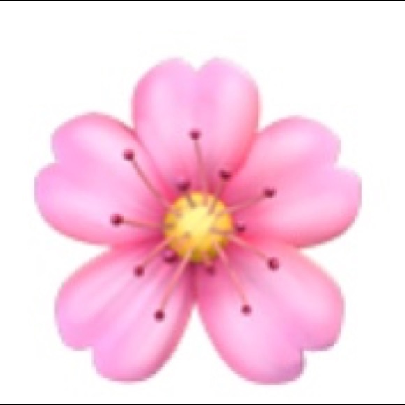 Meet your Posher, T - Picture 1 of 1